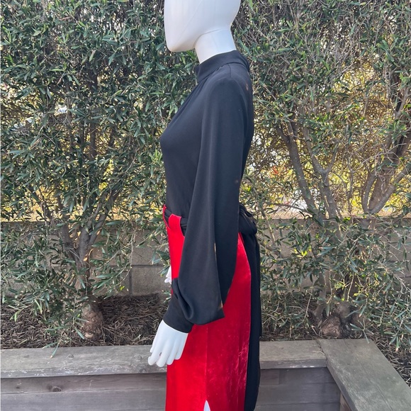 Vintage Red Velvet and Black Gown - Picture 7 of 10
